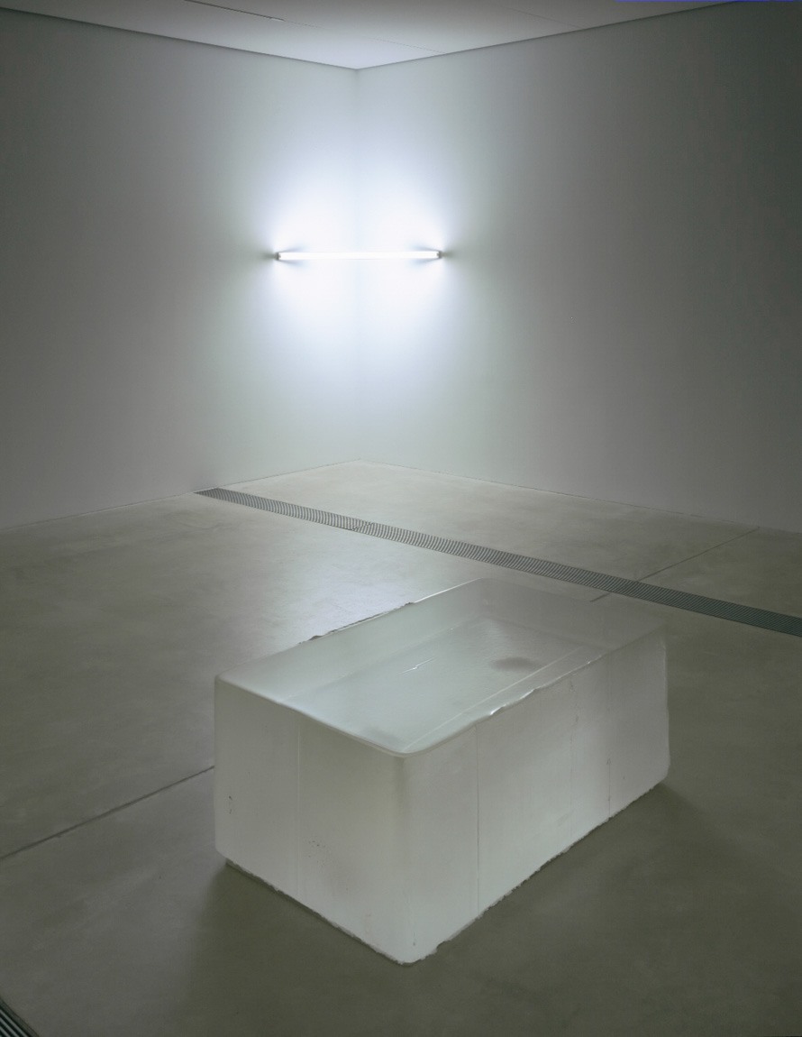 A translucent rectangular block sits on the gallery floor, and a Dan Flavin light sculpture is installed in the corner behind it.