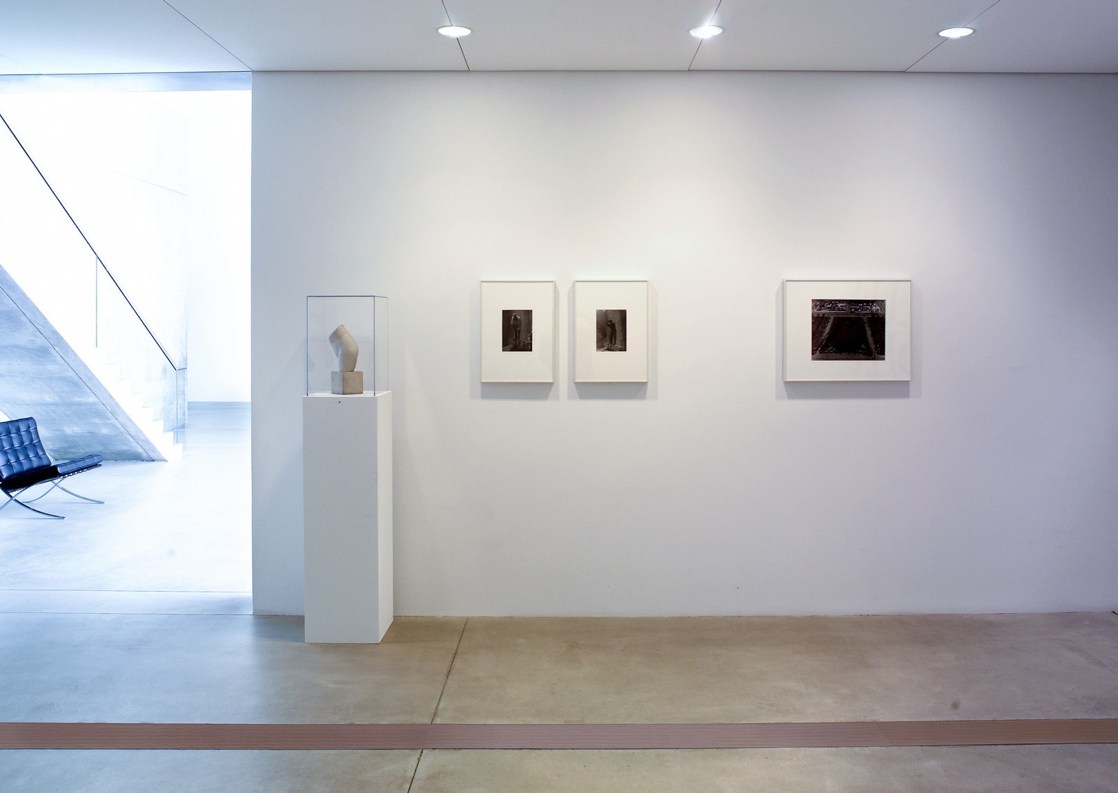 Pieces in a line on a wall in the Entrance Gallery, including Brâncuși's plaster "Torso" on a podium, two Brâncuși self portrait silver prints, and a silver print by Serra titled "Manipulated."
