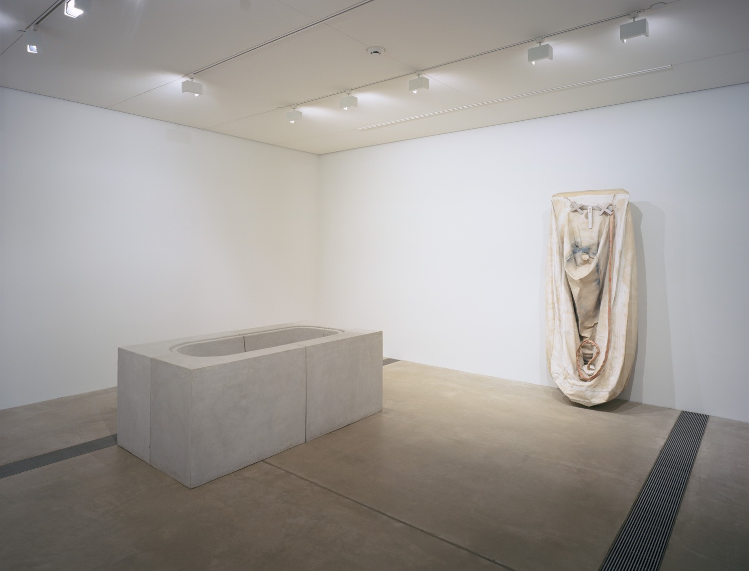 Rachel Whiteread's plaster and glass bath titled "Untitled (Grey)" and Claes Oldenburg's "Soft Bathtub (Model) - Ghost Version," a mass of light fabric hangs on the wall to the right.