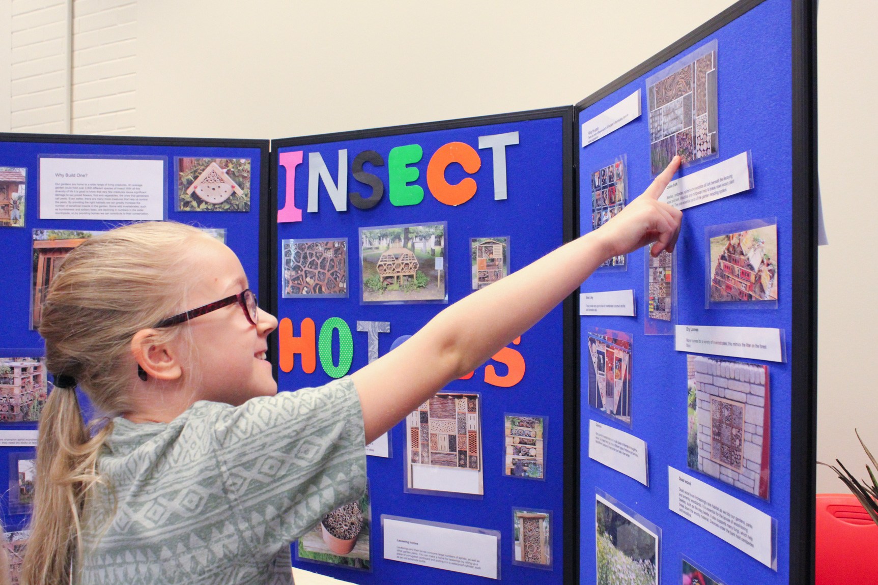 Child pointing to a trifold presentation board about insects.
