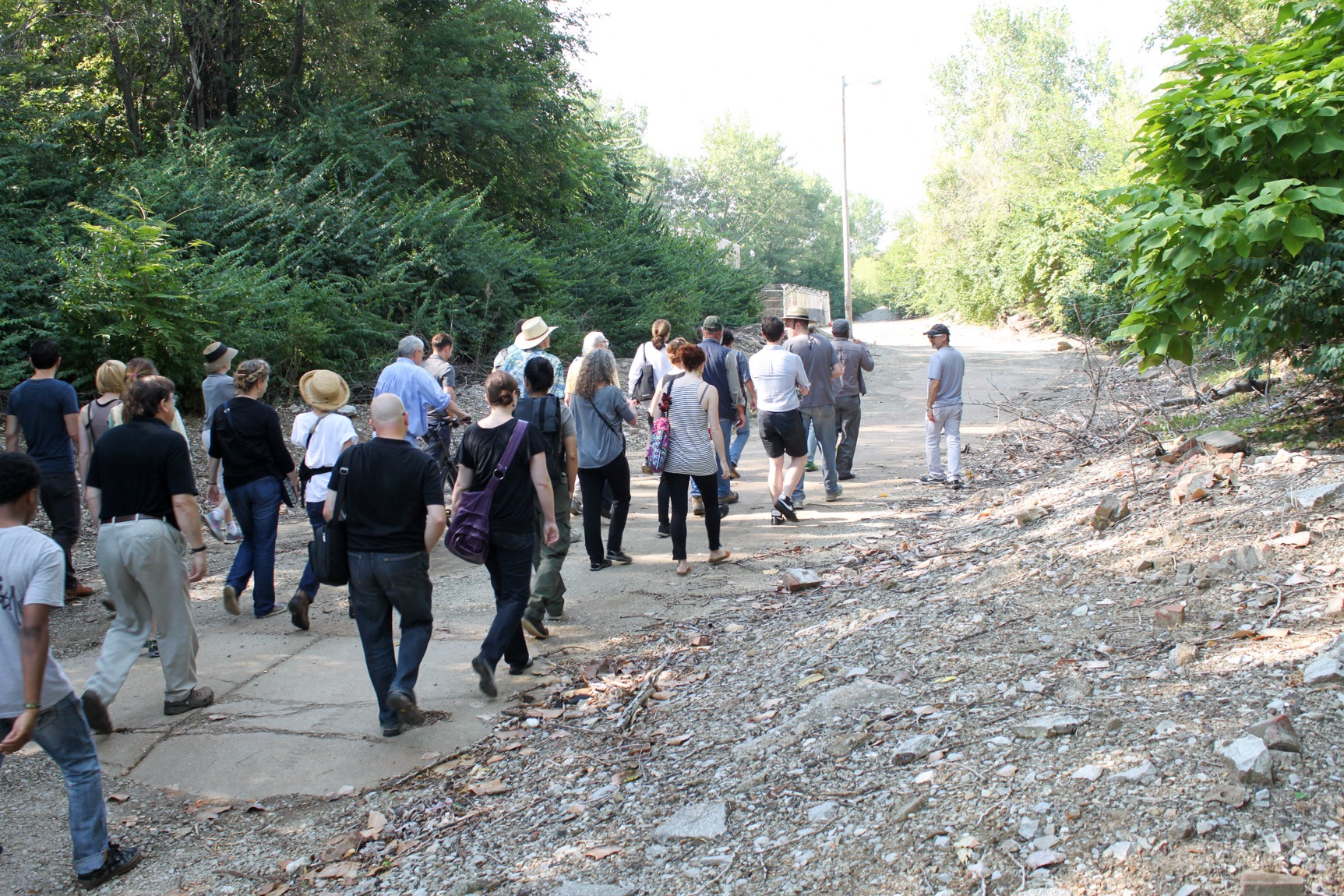 A large group walks together on a vacant street in a forested area.