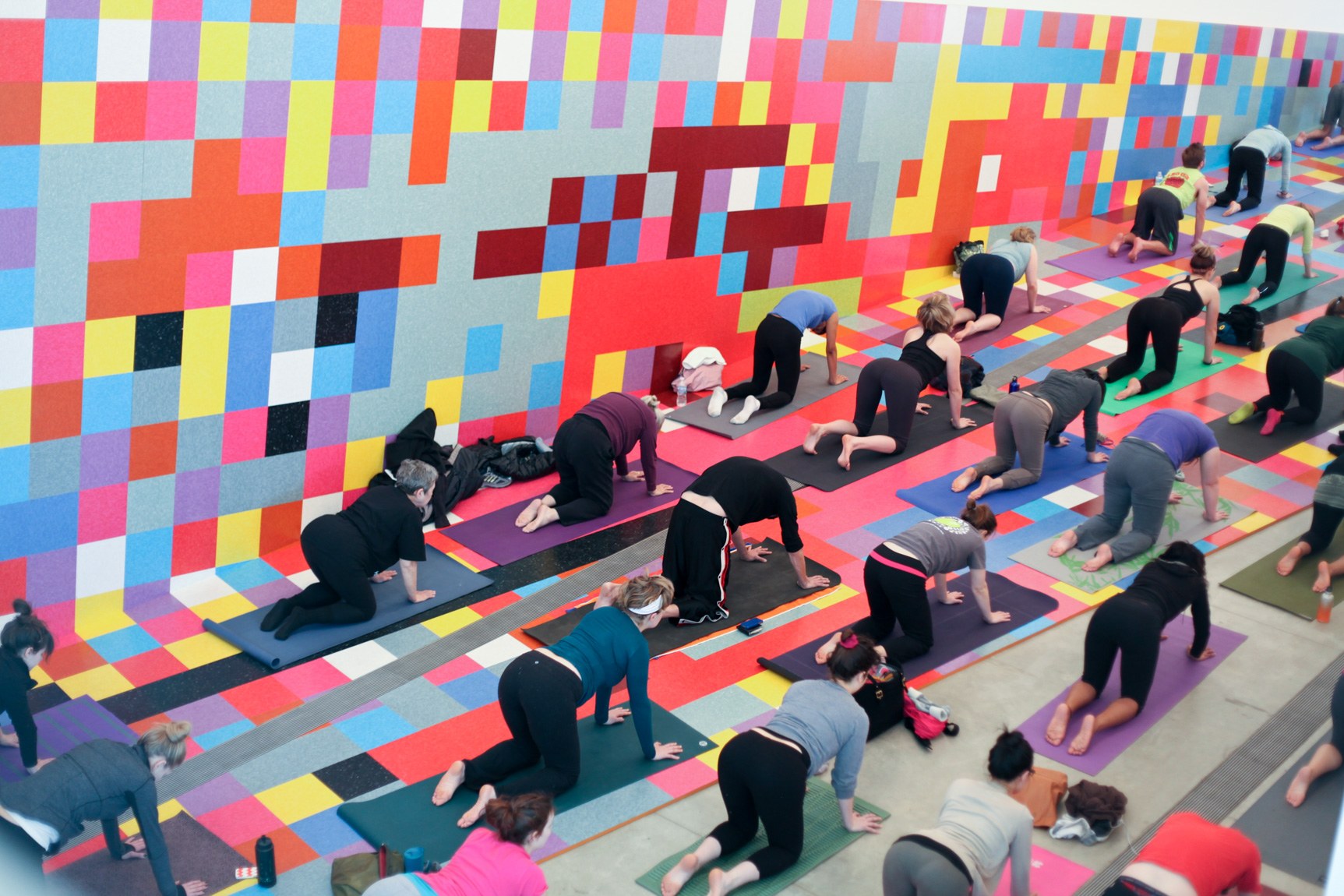 Participants pose in cat-cow on yoga mats in the Main Gallery.