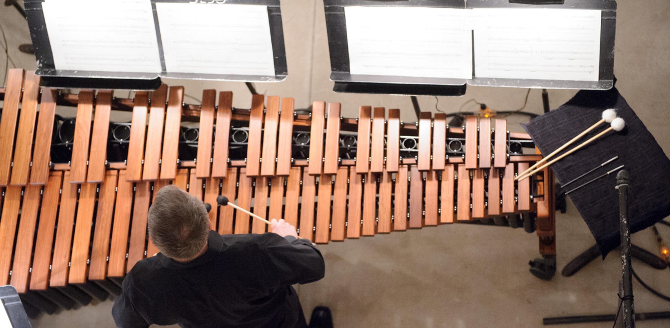 An aerial view of a glockenspiel player performing in the Lower Main Gallery.