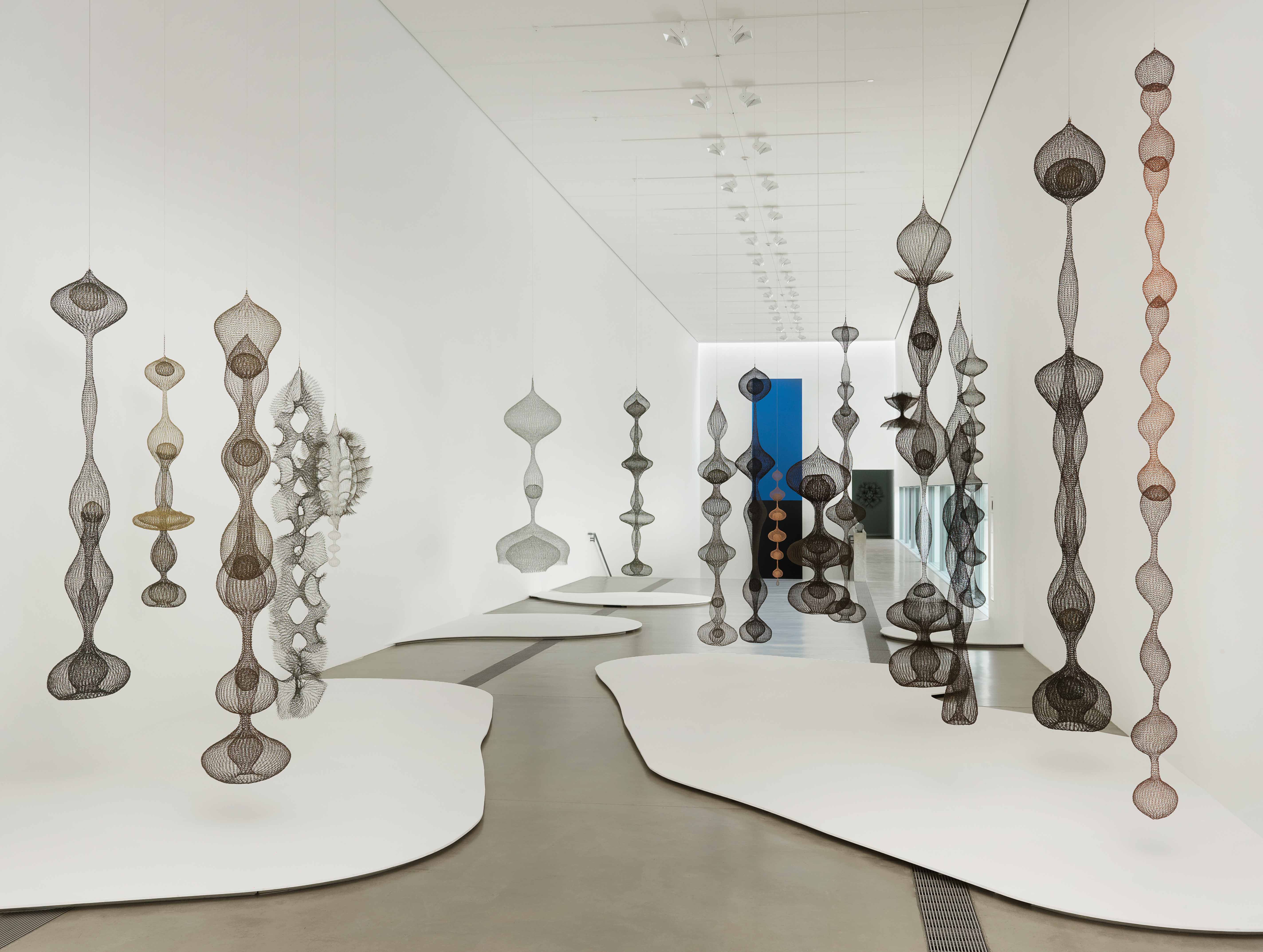 A view of Ruth Asawa's hanging wire sculptures in the Main Gallery.