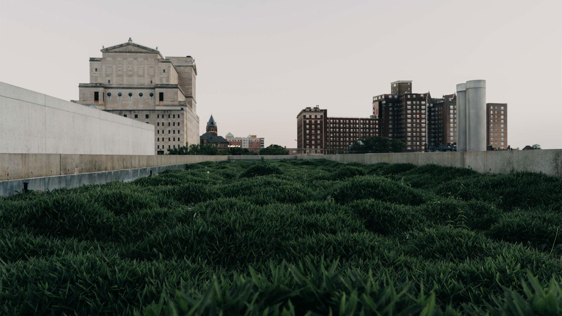 The Ando building's rooftop grass plot and Grand Center in the background.