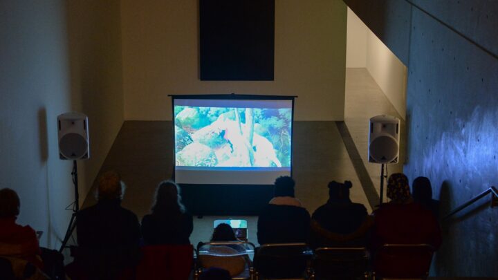 An audience on the Main Staircase views a film projected on a large screen in the Lower Main Gallery.