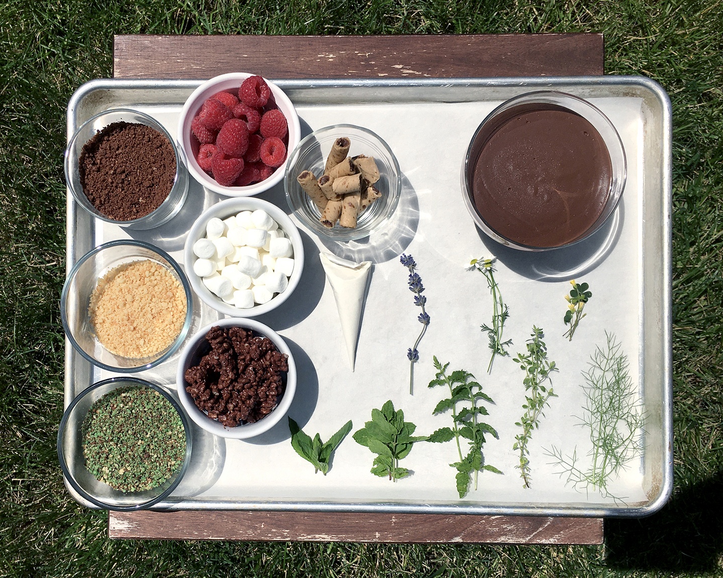 An overhead view of ingredients for the activity arranged on a baking sheet, which sits on a wooden bench on a lawn.