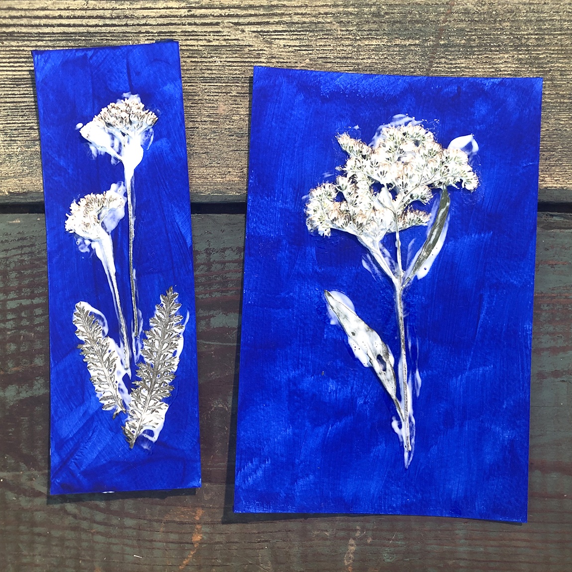 Two ultramarine paper bookmarks with plants covered in glue stuck to them.