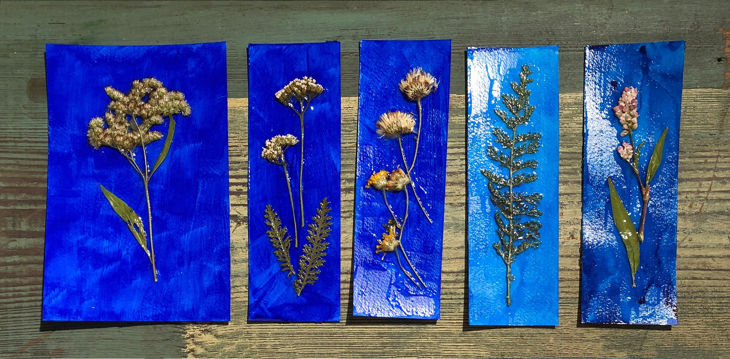 Four ultramarine paper bookmarks with pressed plants sealed to them.