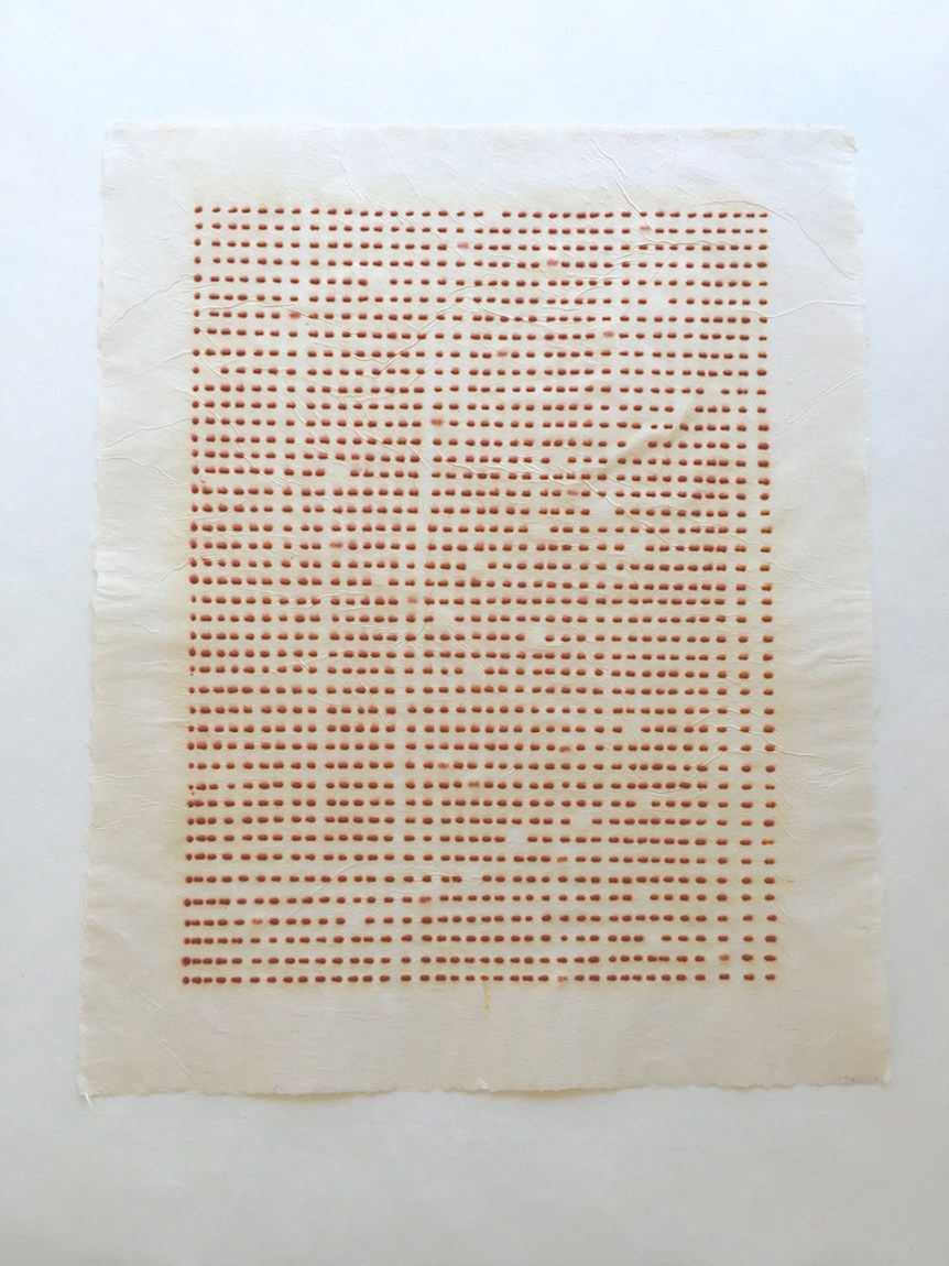 A page covered with small lines of dots of natural pigment.