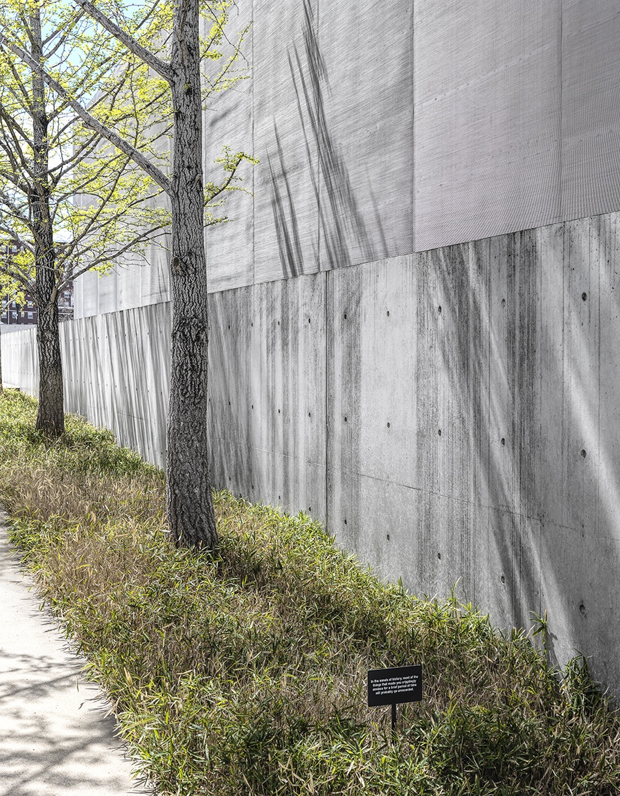 A view of a small aluminum sign artwork with text by Chloë Bass installed in bamboo near a concrete wall, with two trees in the background