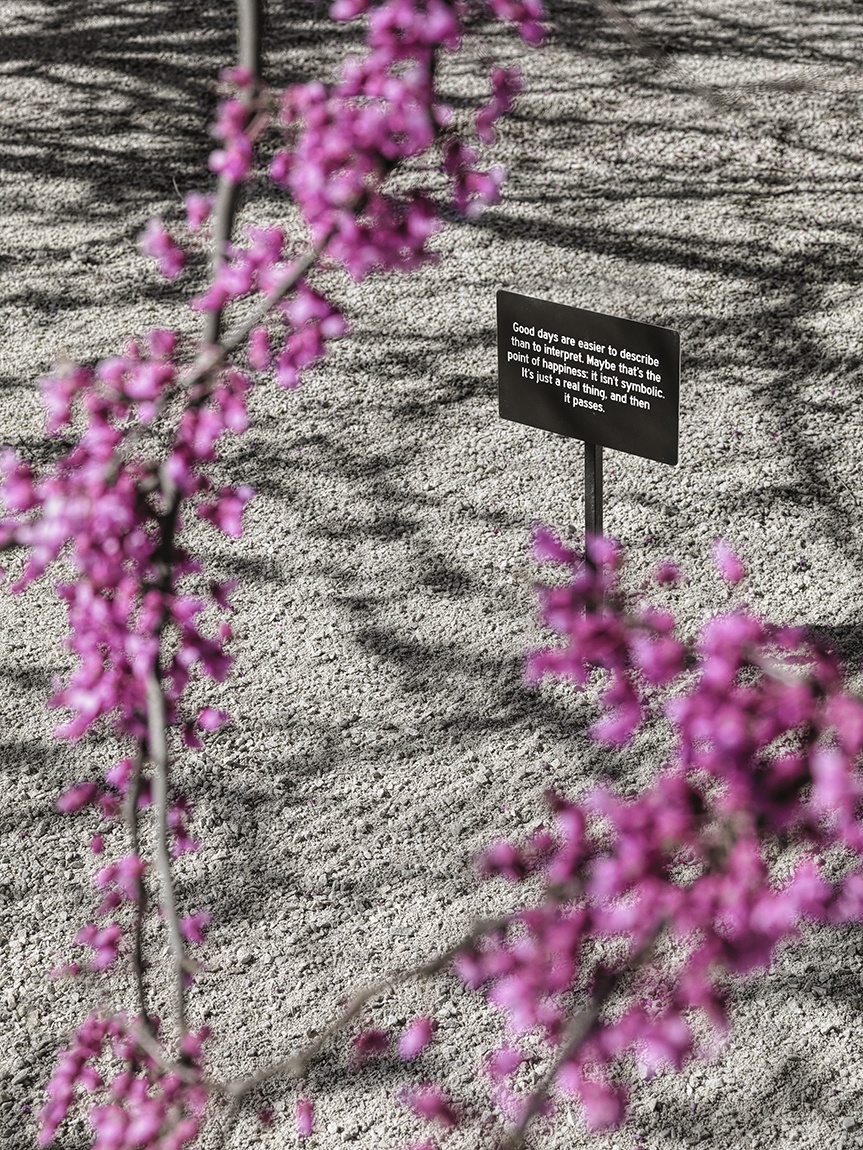 An angled view of a small aluminum sign artwork with text by Chloë Bass seen through the branches of a redbud tree