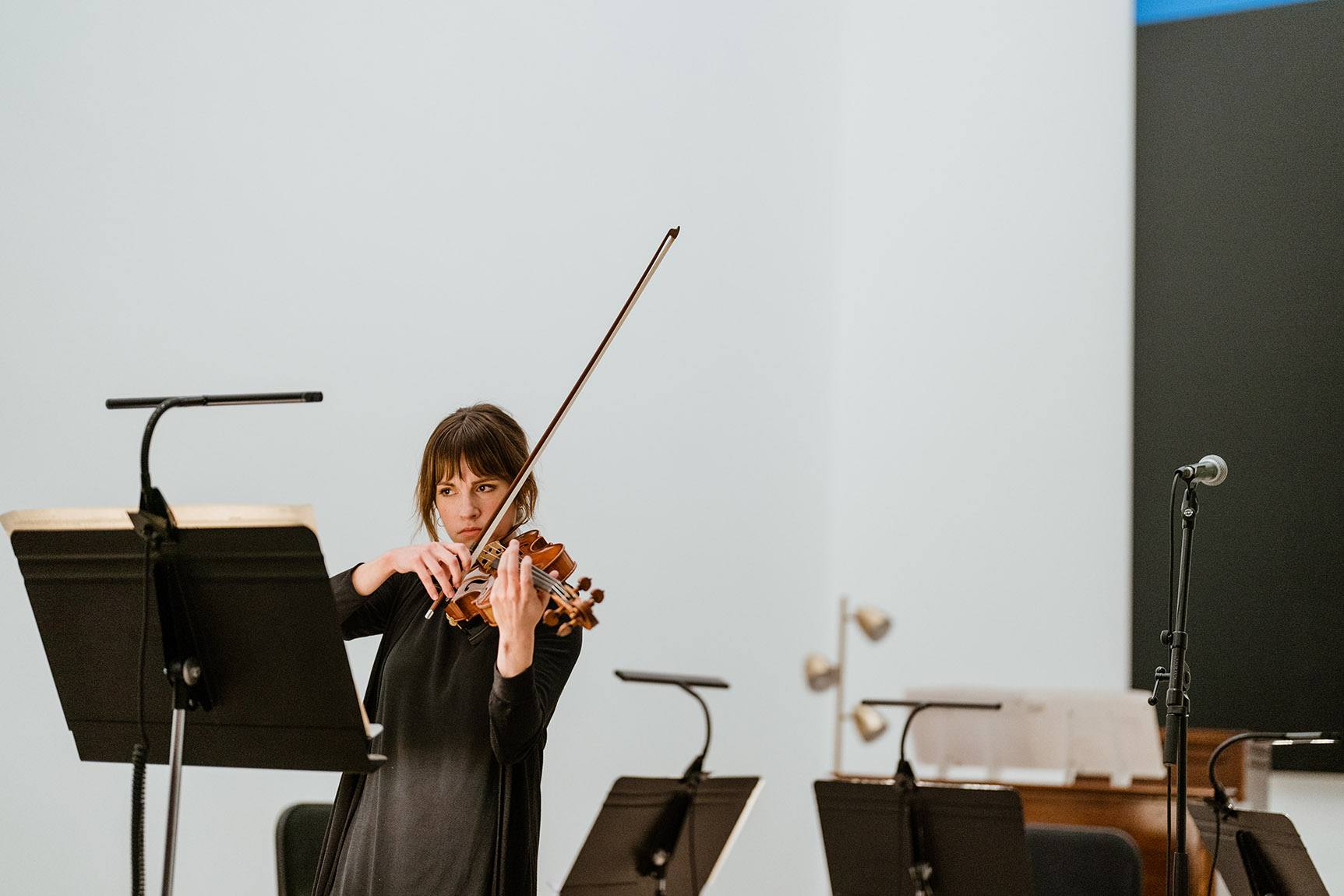 Violinist of the St. Louis Symphony performing at the Pulitzer Arts Foundation