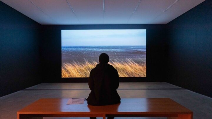 Silhouette of a person sitting on a wooden bench in a dark room watching a film projection of wheat grass and a blue sky