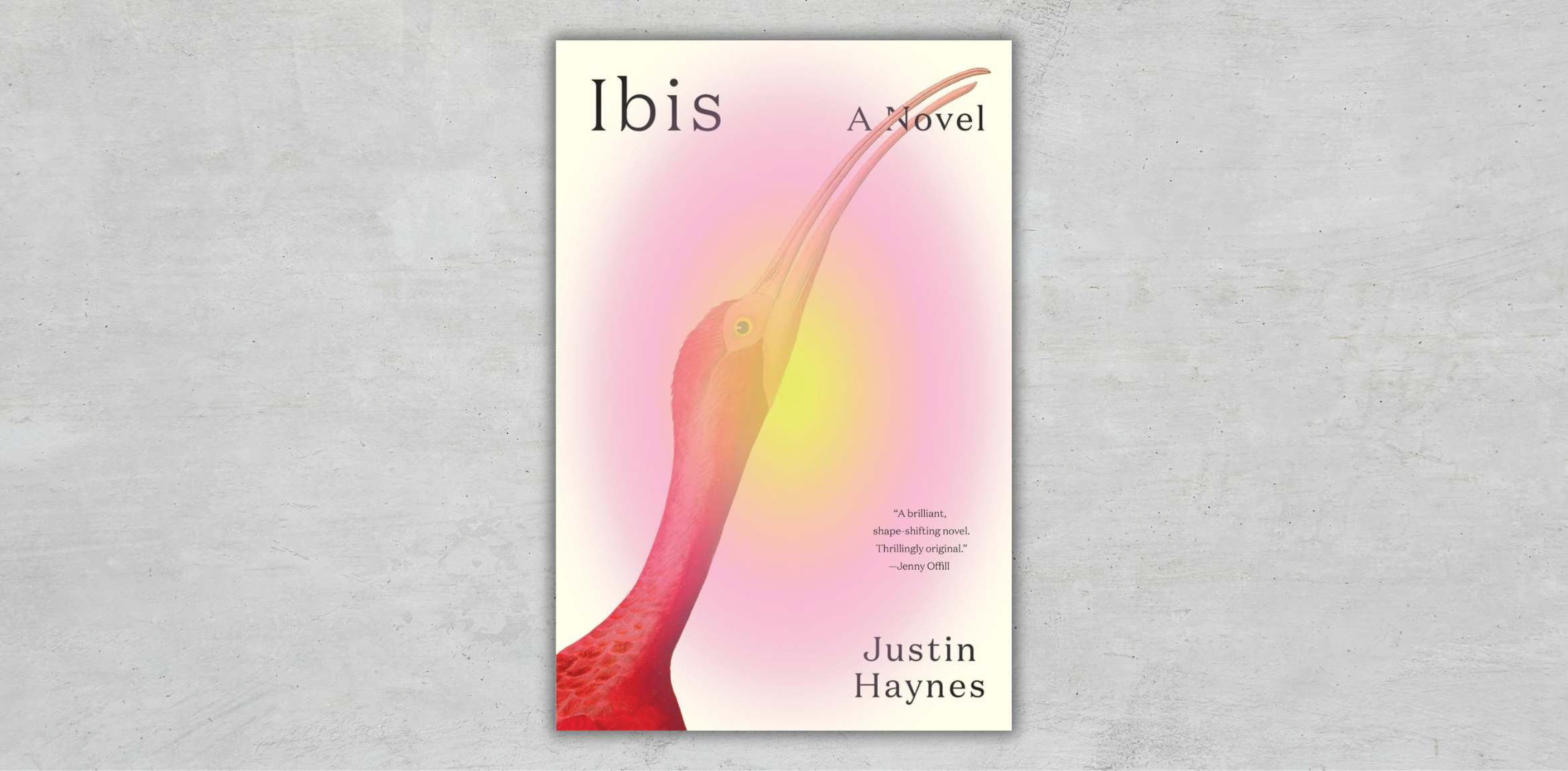 The book cover for Ibis: A Novel by Justin Haynes features a red ibis against a pink and yellow gradient background. The title is at the top left, the author’s name at the bottom right, and a quote by Jenny Offill is included.