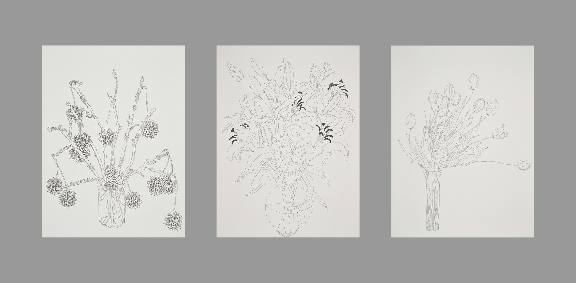  Three minimalist line drawings of flower arrangements in vases are displayed side by side on a gray background. Each drawing features a different type of plant, with delicate, detailed line work and minimal shading.