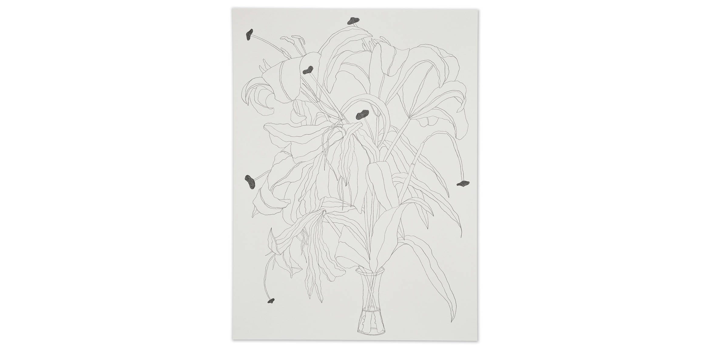 A minimalist line drawing of a bouquet of lilies in a clear vase. The delicate outlines depict large, flowing leaves and petals, with several dark, textured shapes scattered across the flowers, resembling abstract forms or petals.